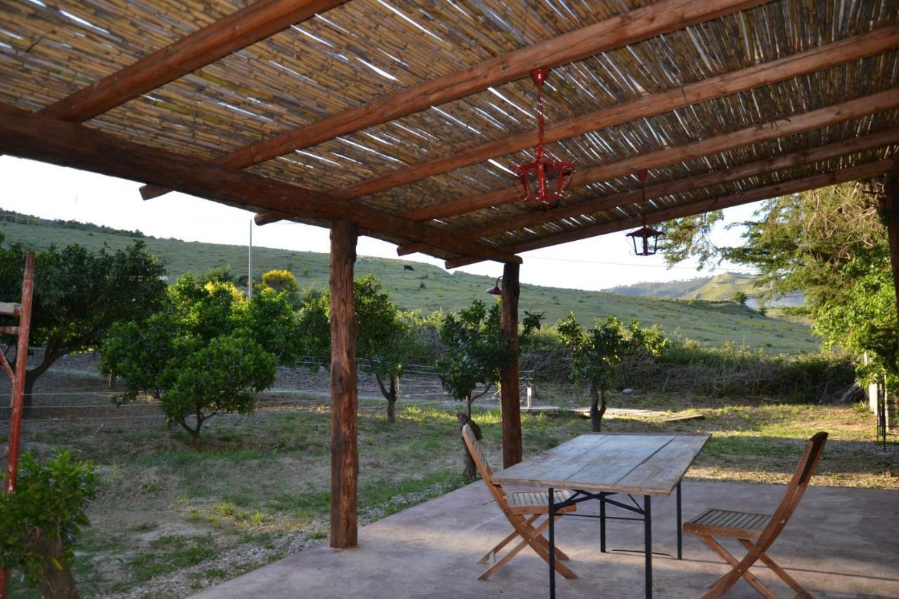 Villa La Cucullera Катандзаро Экстерьер фото